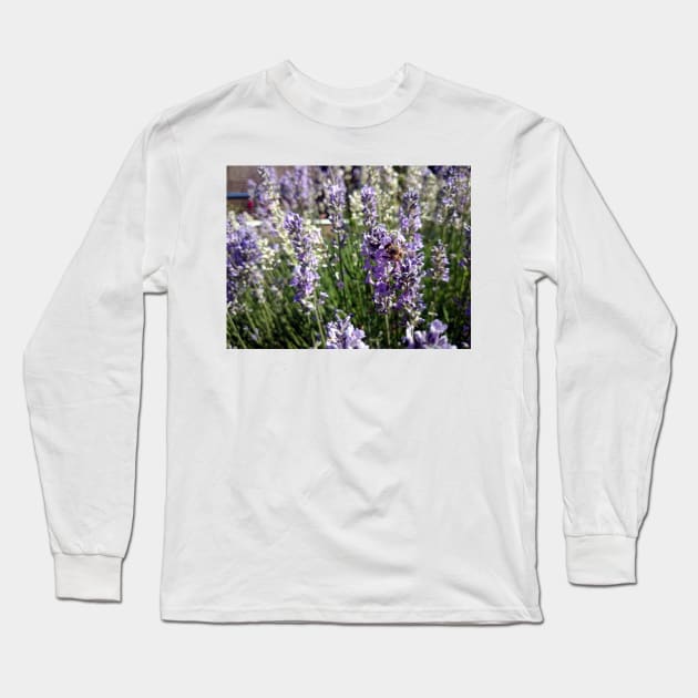 lavender Long Sleeve T-Shirt by Gourmetkater